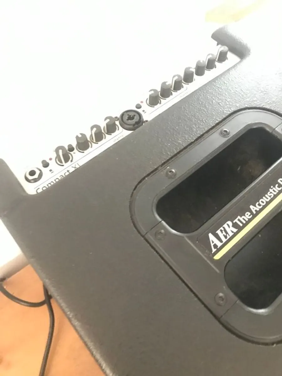 AER acoustic amp - Image 4