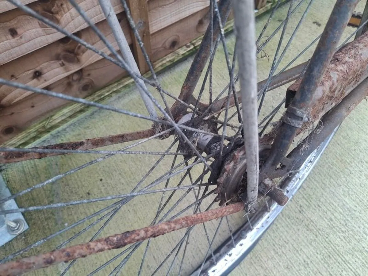 Robinhood Antique Bike Project - Image 4