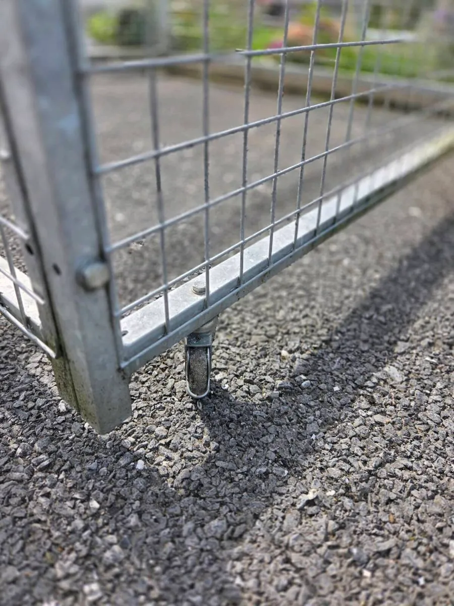 Dog Run - Image 4