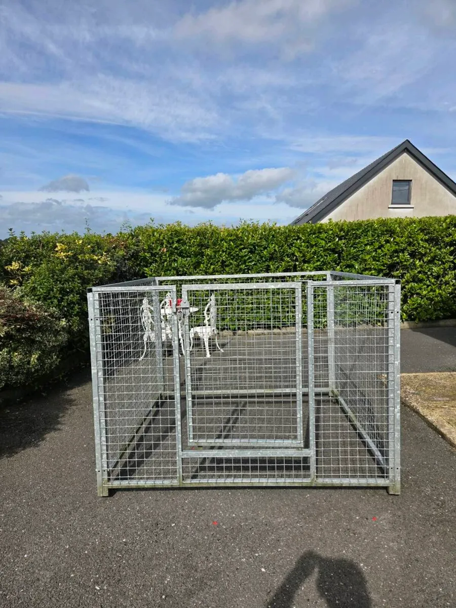 Dog Run - Image 2