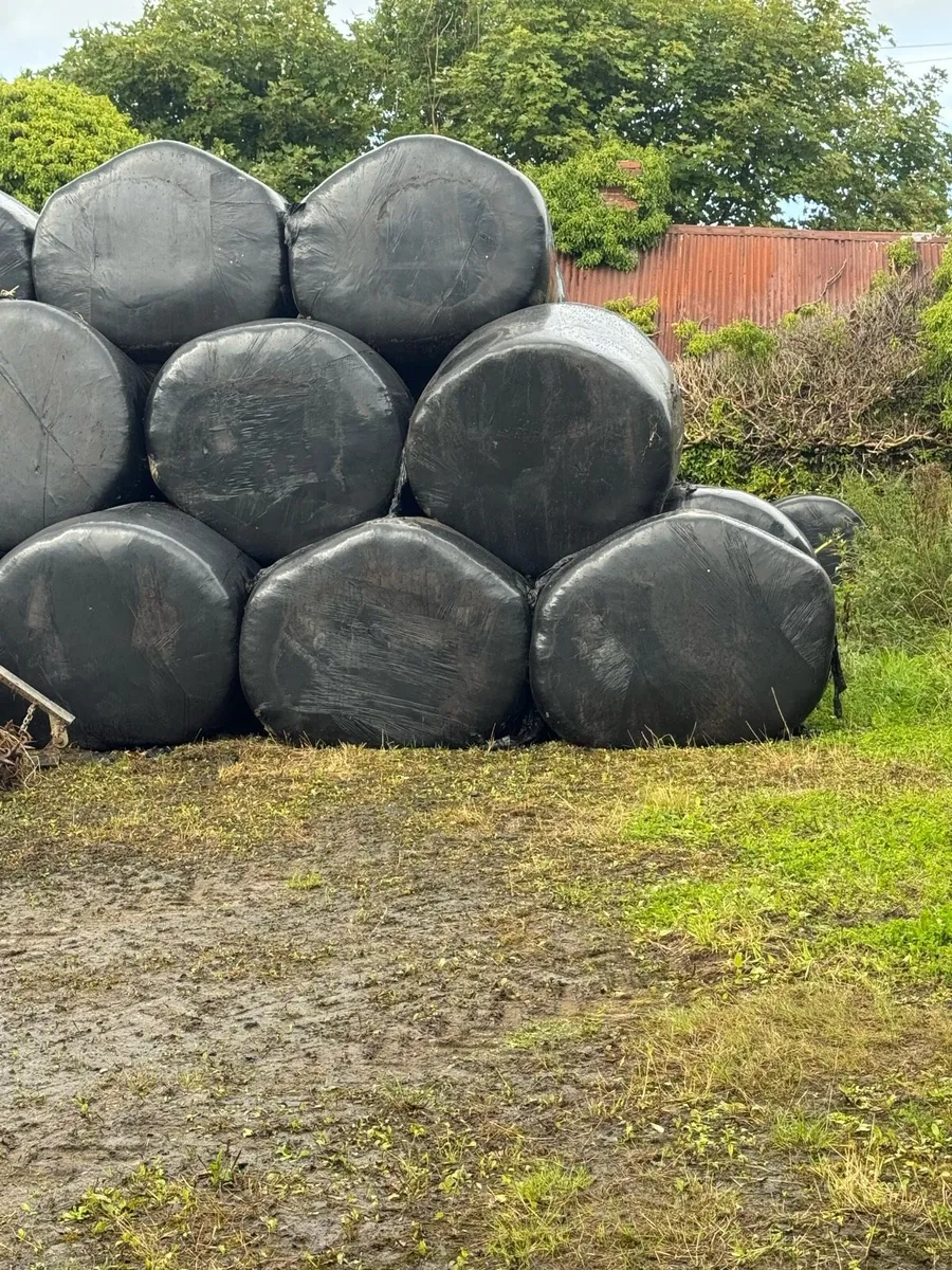 Haylage - Image 1