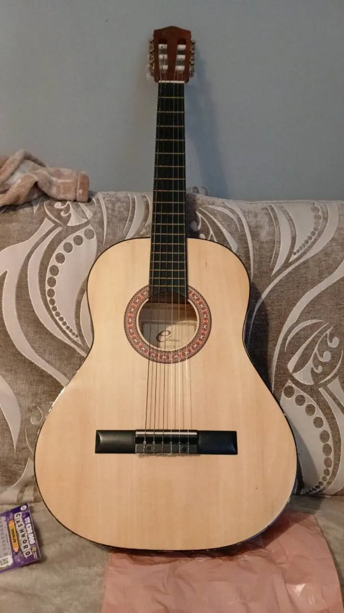 Beginners guitar with case - Image 1