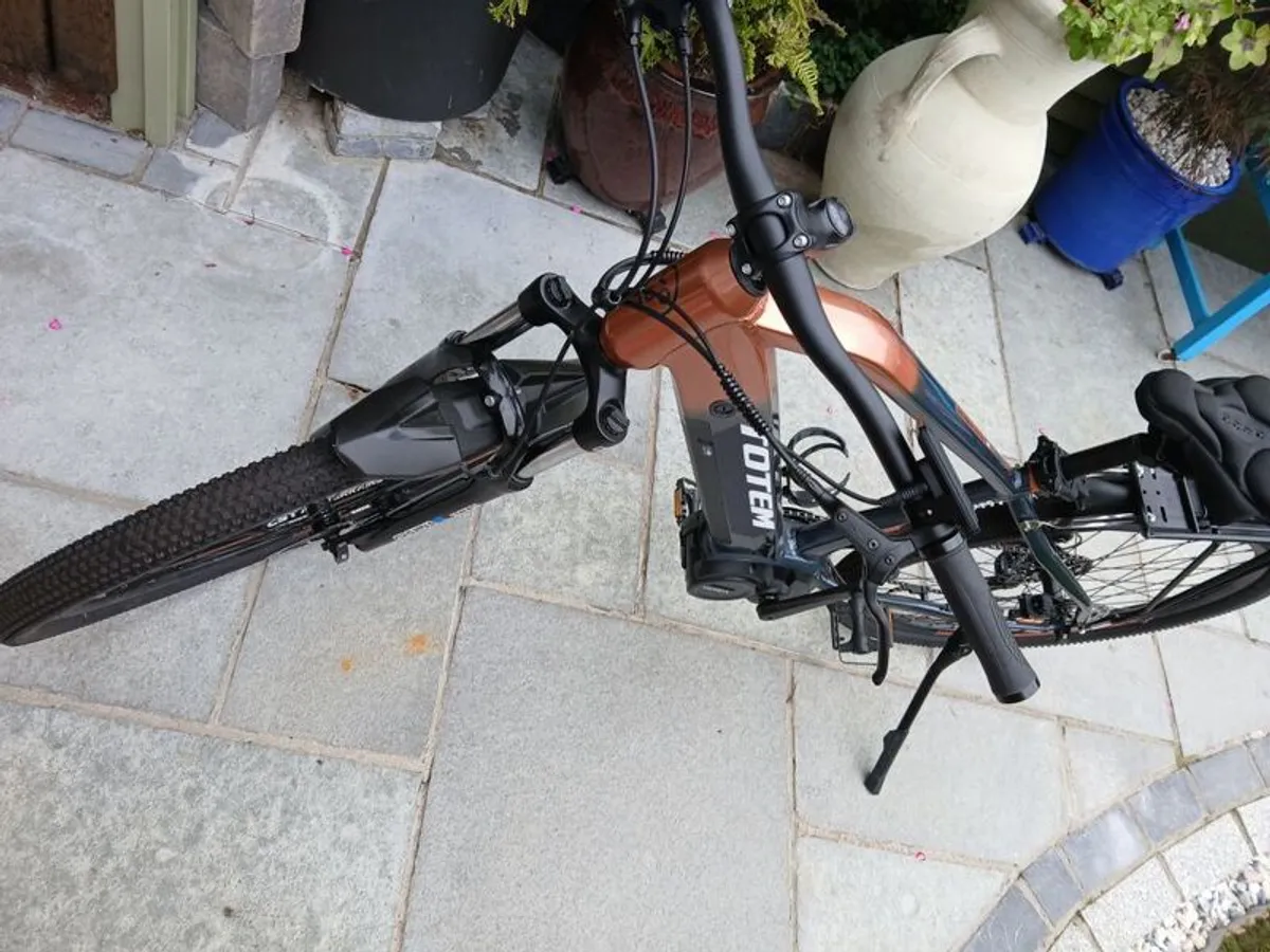 Electric Bike - Image 2