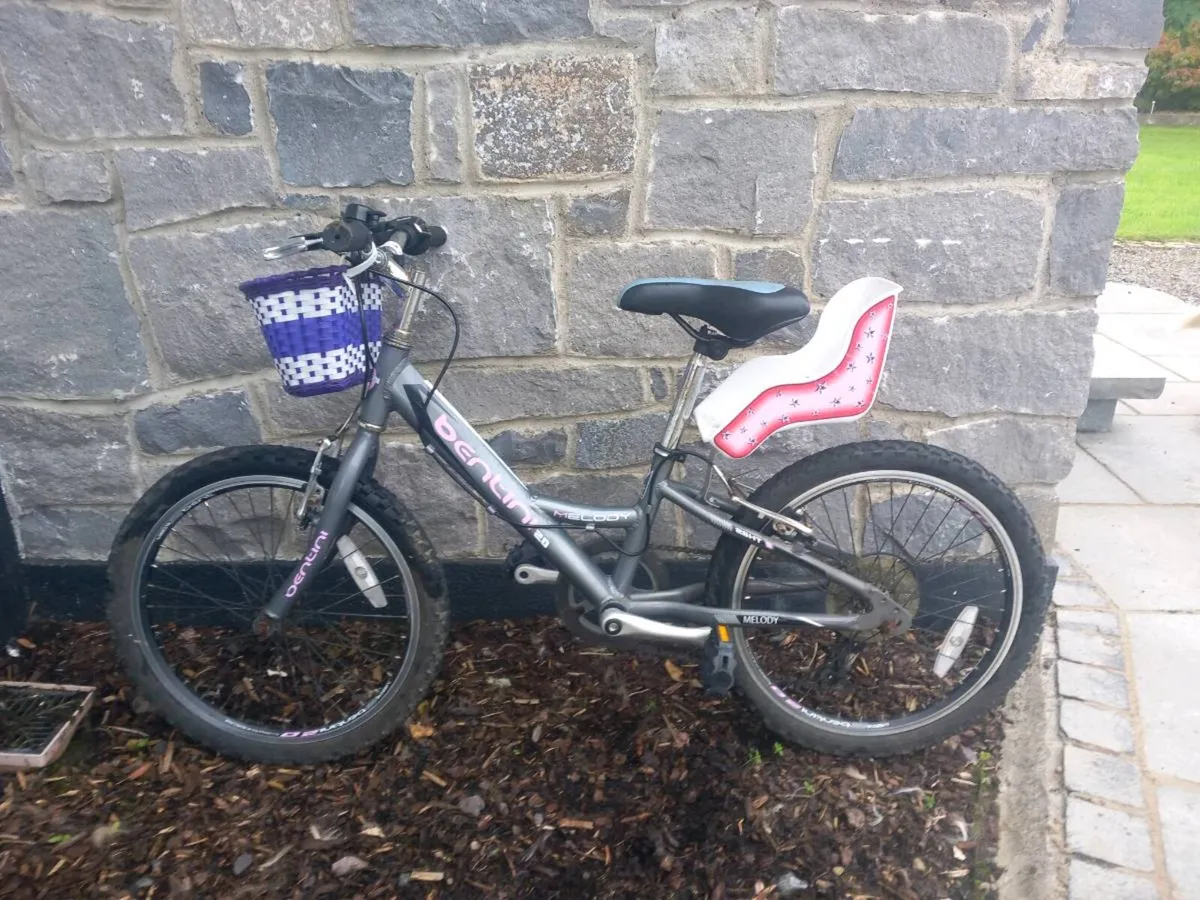 Girls Bicycle - Image 1
