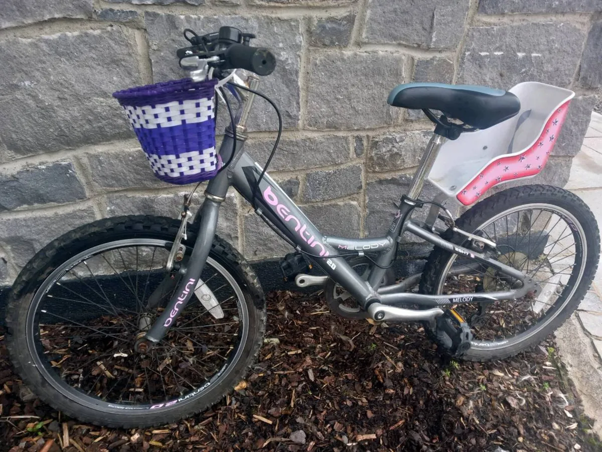 Girls Bicycle - Image 2