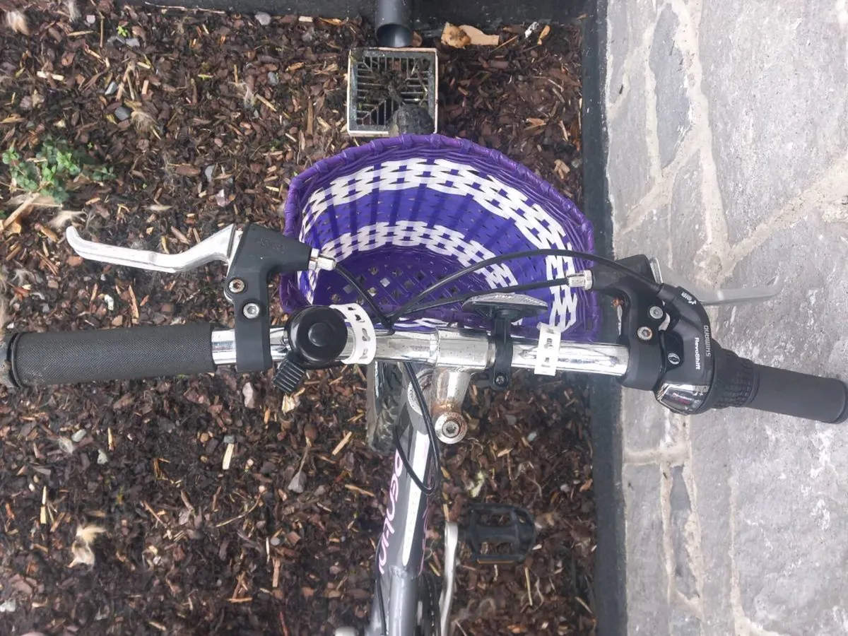 Girls Bicycle - Image 4