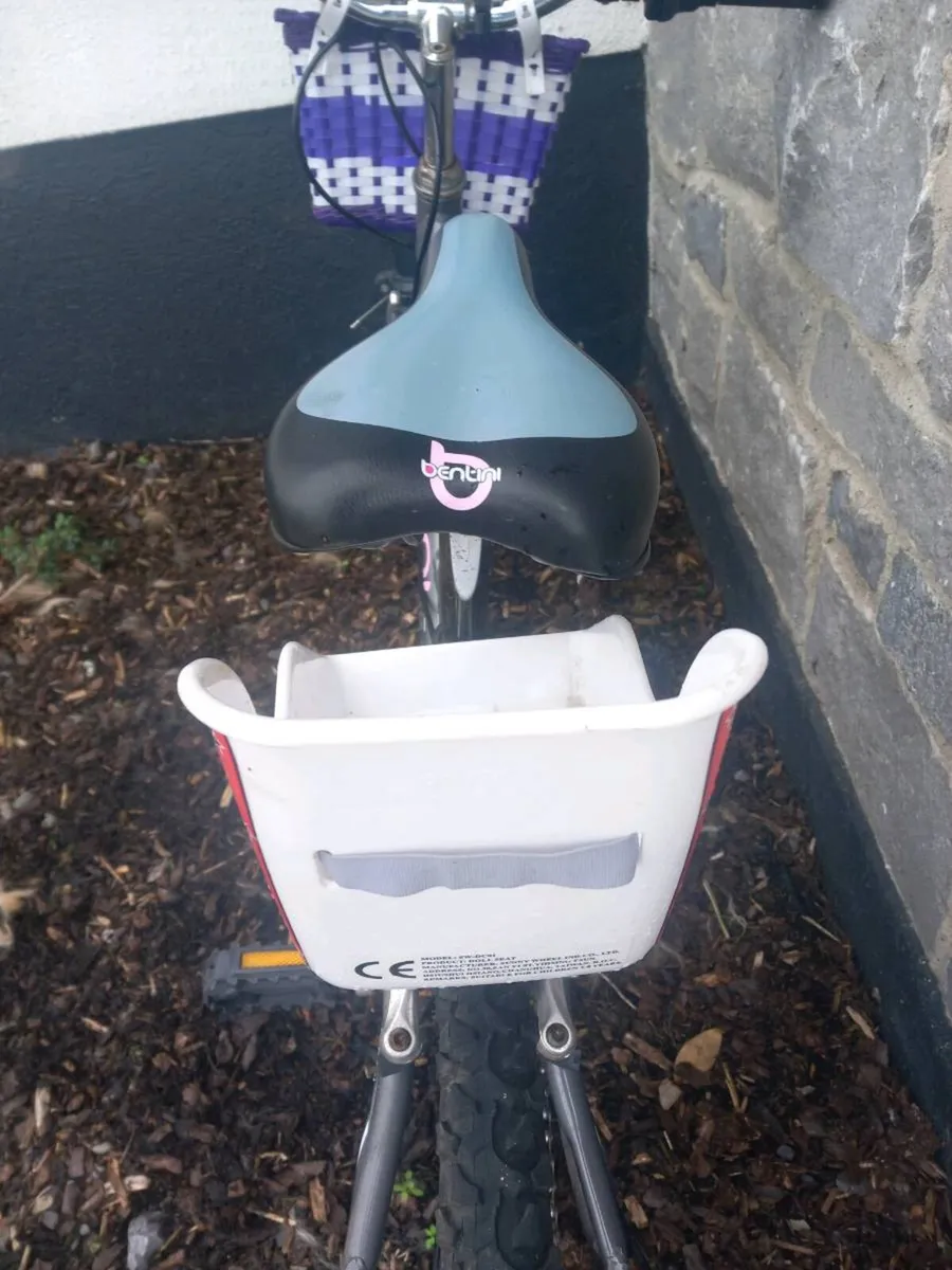 Girls Bicycle - Image 3