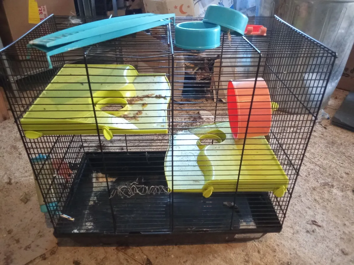 Hamster cage