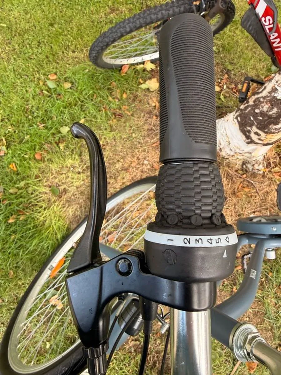 City bike - Image 2