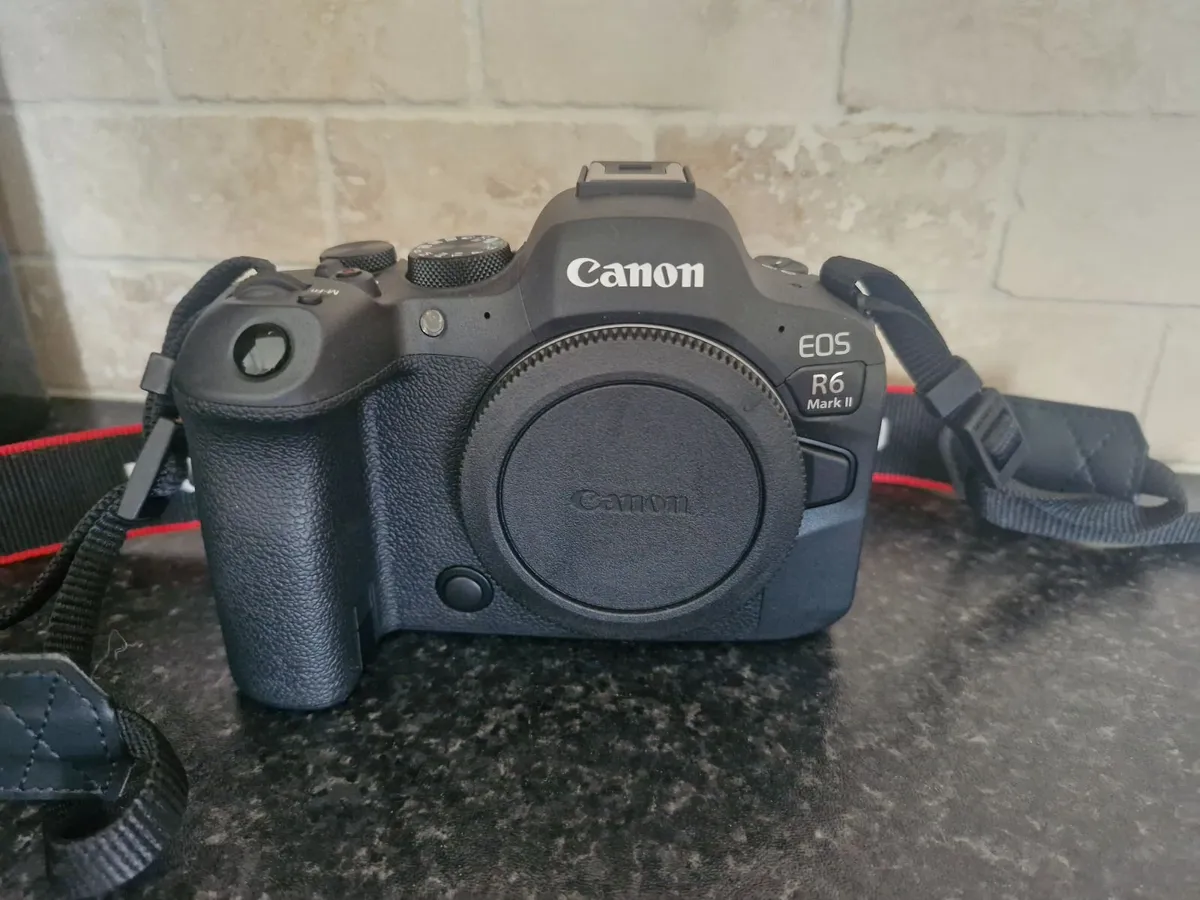 Canon R6 Mark II - Image 3