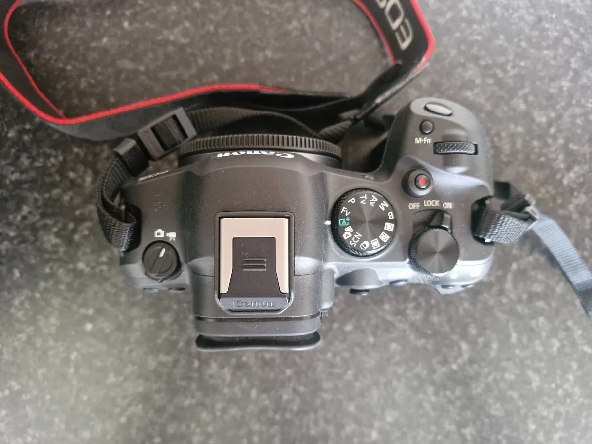 Canon R6 Mark II - Image 4