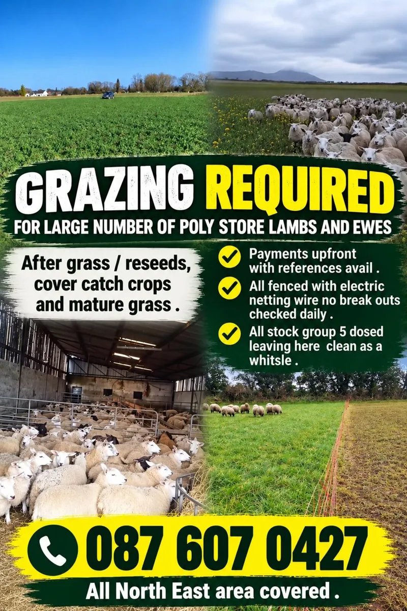 Grazing