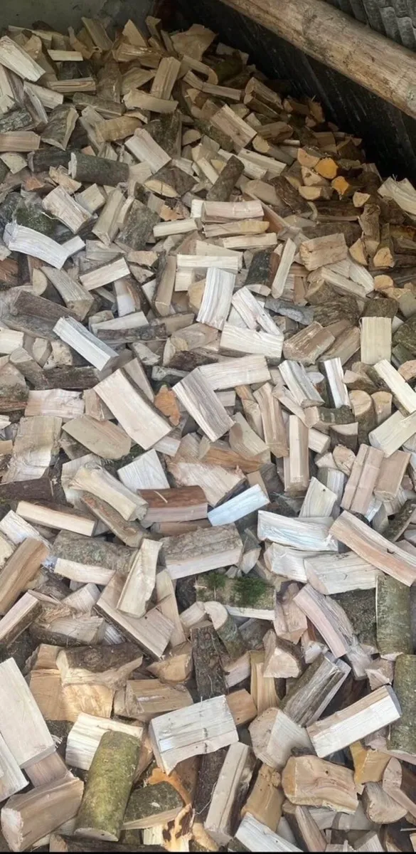 Hardwood Timber for Sale - Image 3