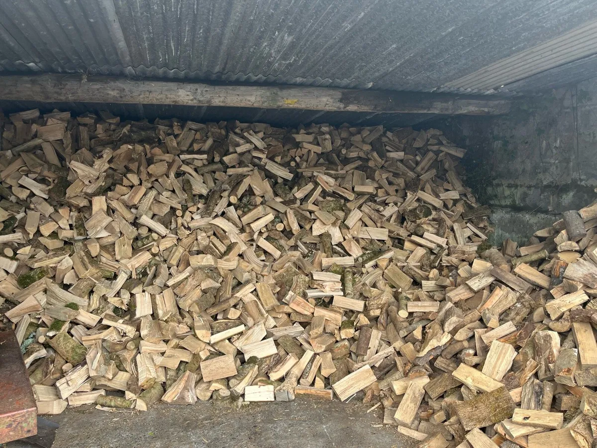 Hardwood Timber for Sale - Image 4
