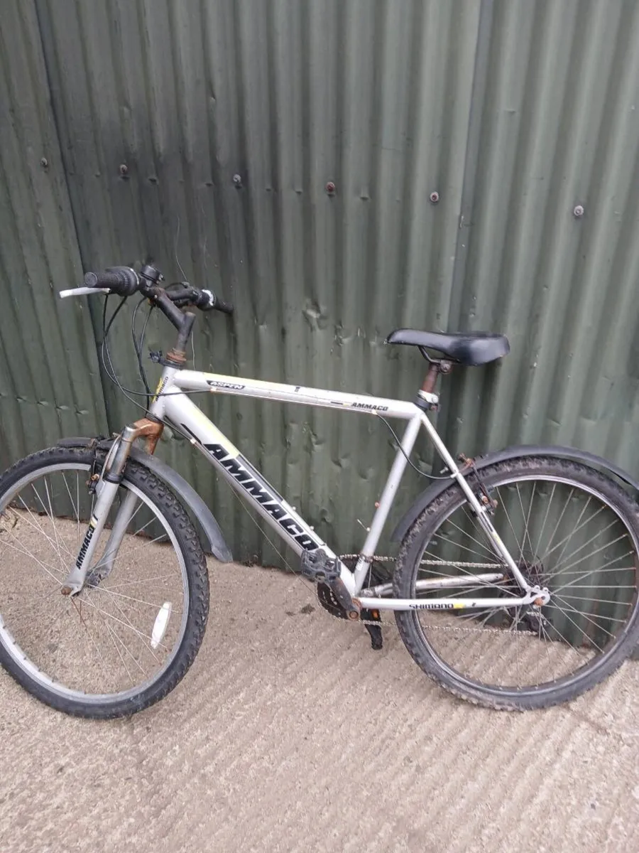 Bikes - Image 4