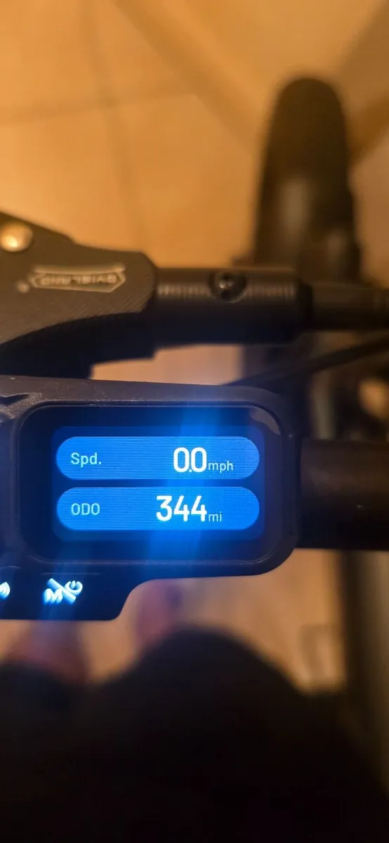 🚲 FIIDO M1 PRO – FAT TYRE E-BIKE - Image 2