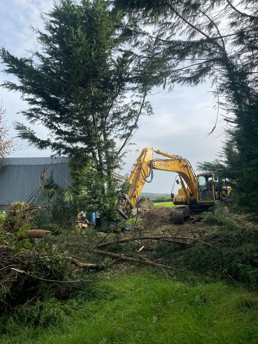tree shear hire - Image 1