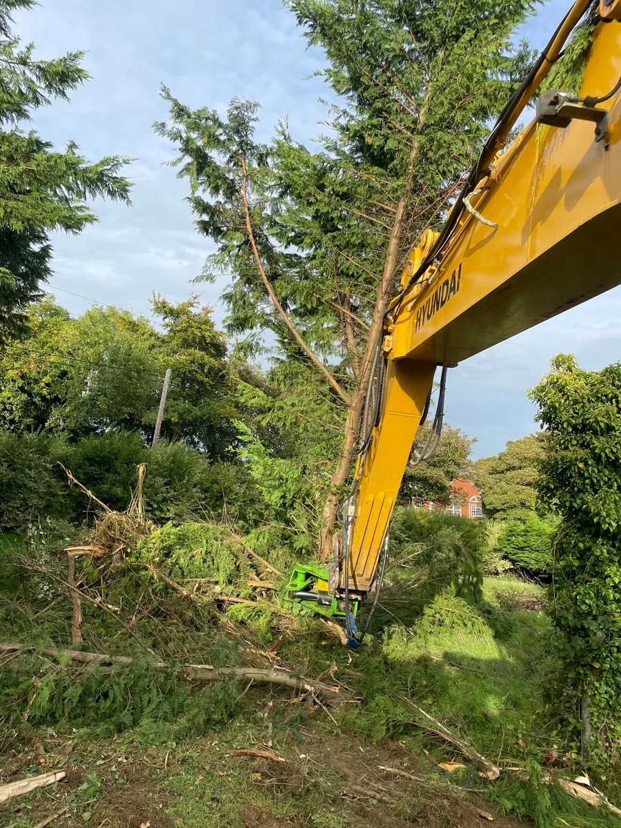 tree shear hire - Image 3