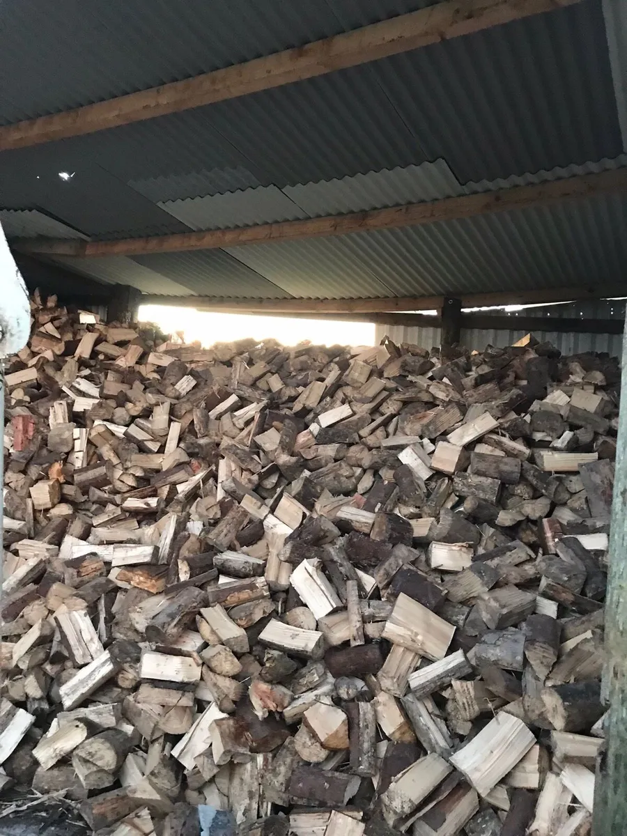 Trailer loads of softwood - Image 2