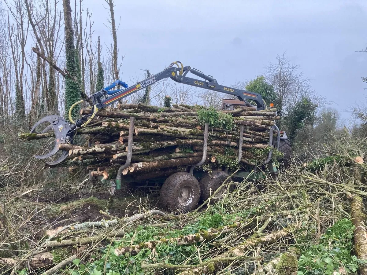 Firewood: Trailer load of Ash logs - Image 1