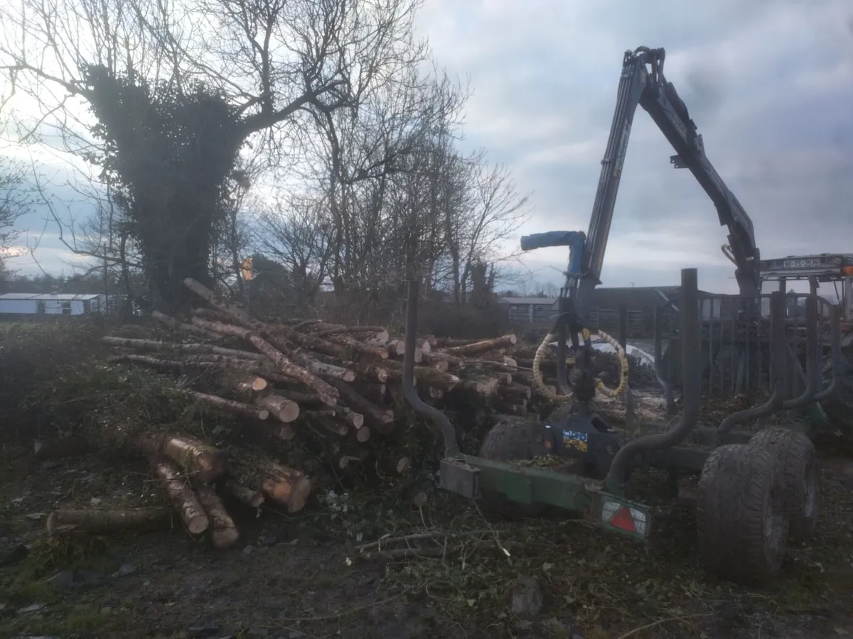 Firewood: Trailer load of Ash logs - Image 3