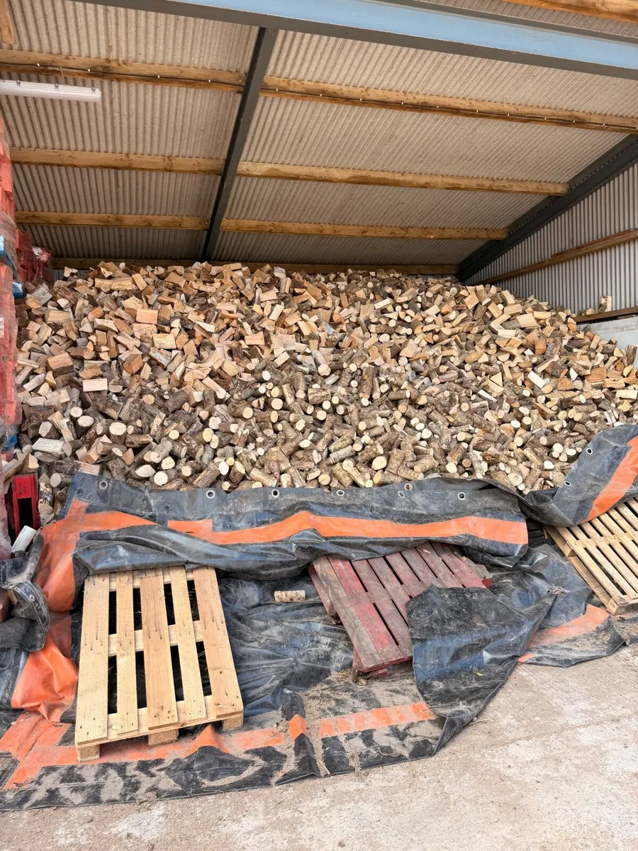 Firewood /sawdust - Image 4