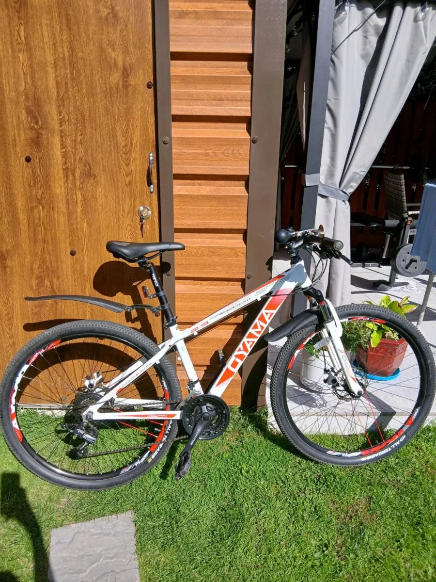 Bicycle - Image 1