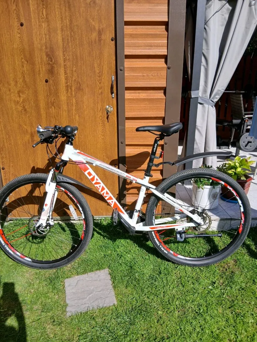 Bicycle - Image 2