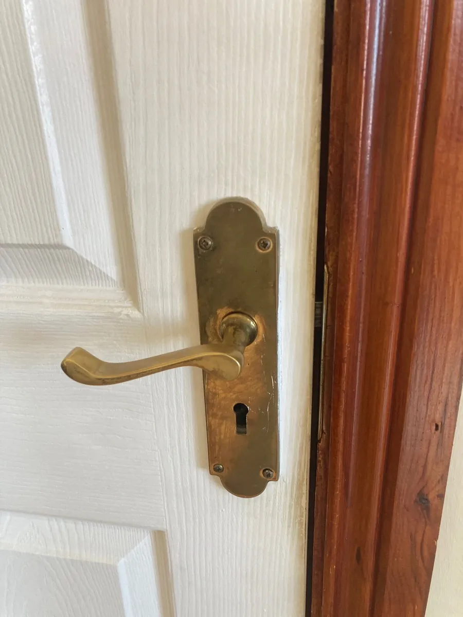 Internal Doors - Image 1