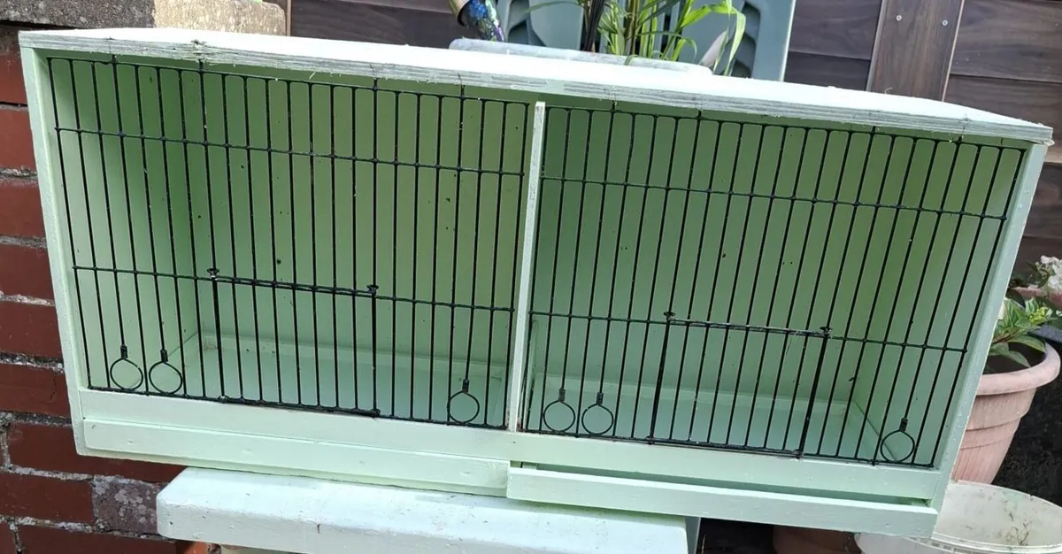 Bird Cages - Image 1
