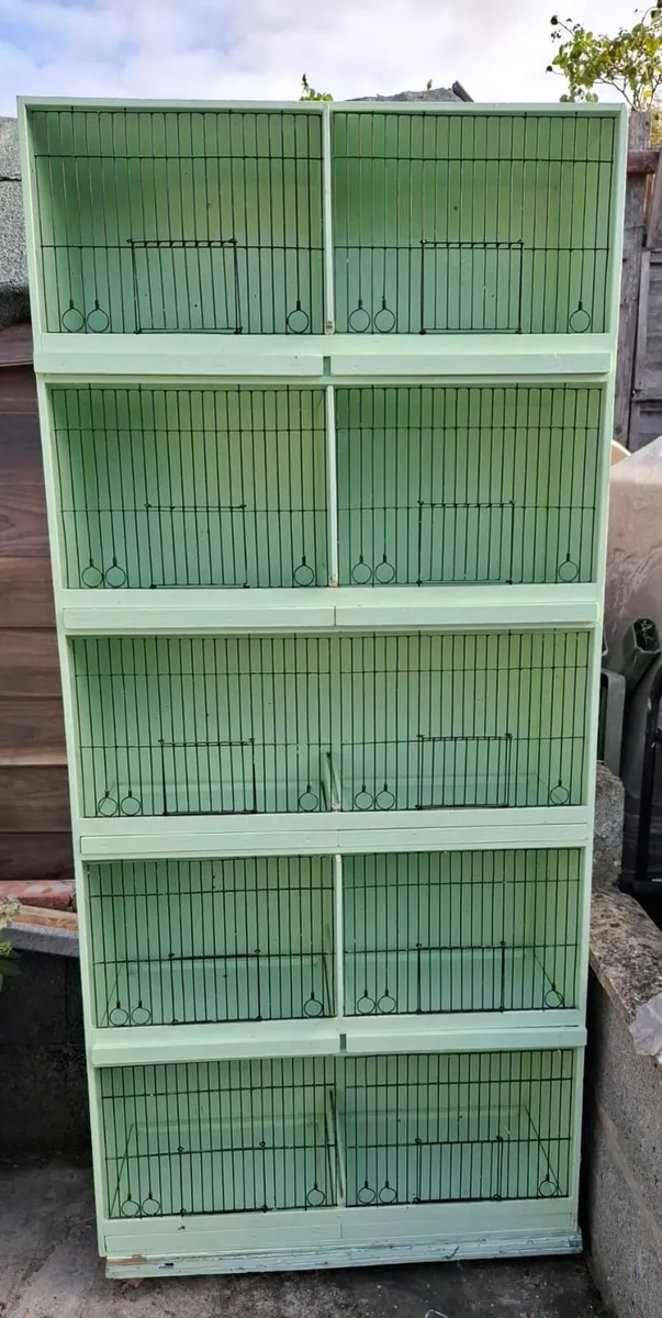 Bird Cages - Image 2
