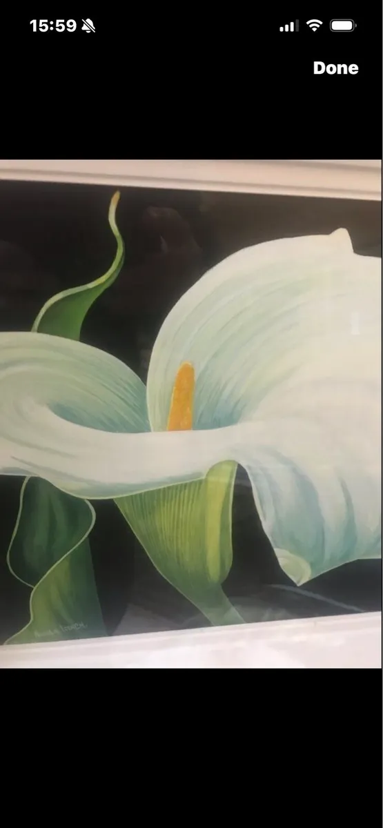 Arum Lily- Nicola Lynch Morrin Original - Image 3