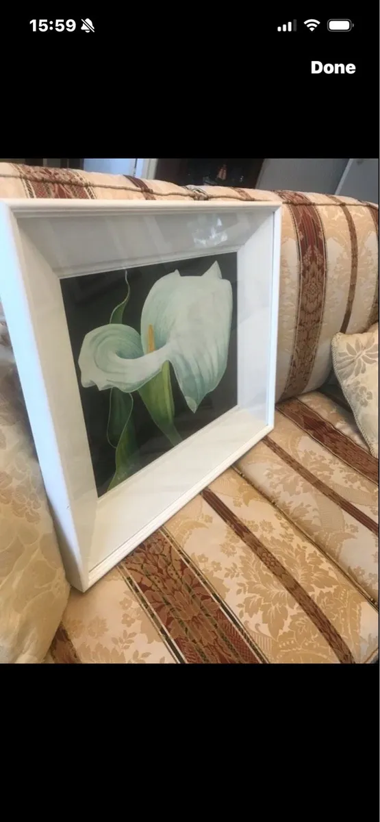 Arum Lily- Nicola Lynch Morrin Original - Image 2