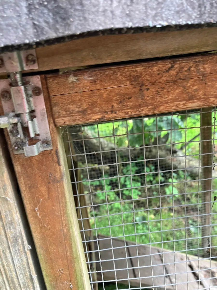 Free chicken coop - Image 2