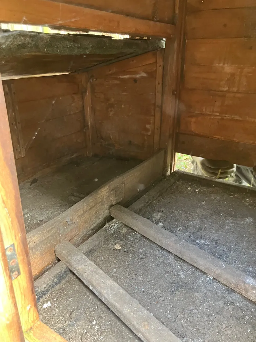 Free chicken coop - Image 4