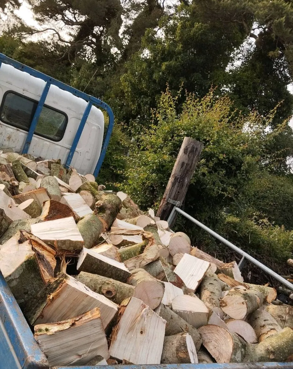 Firewood - Image 2