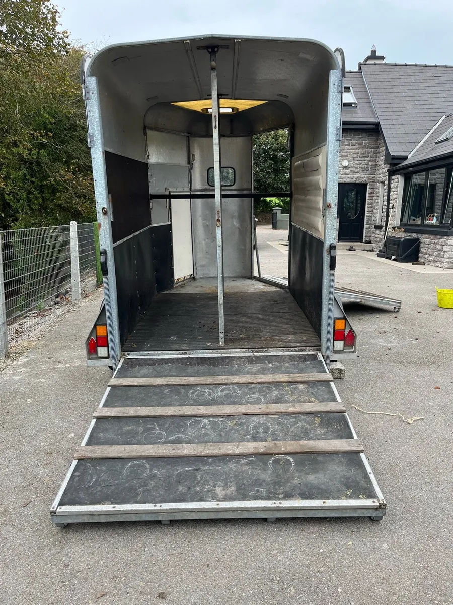 Ifor Williams 505 horse box - Image 3