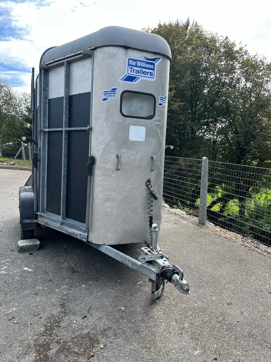Ifor Williams 505 horse box - Image 2