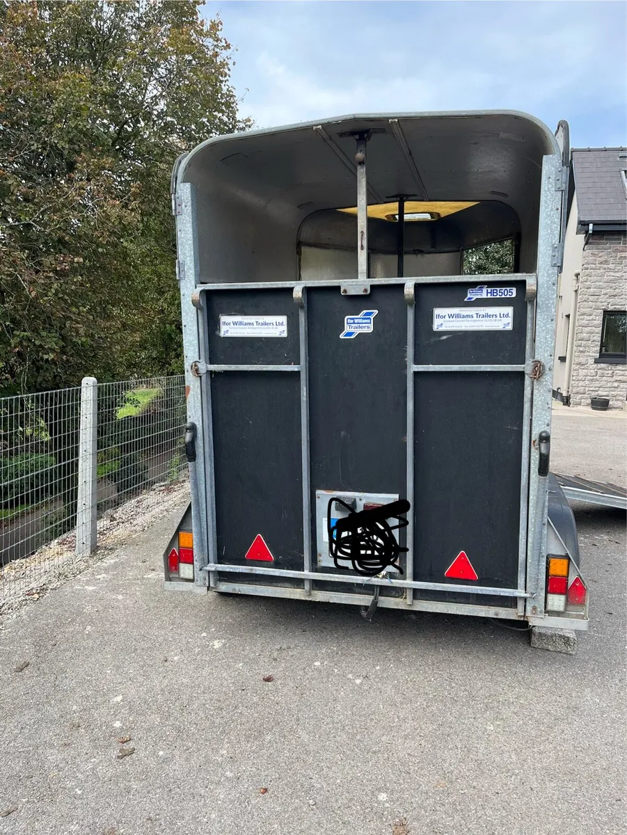 Ifor Williams 505 horse box - Image 4