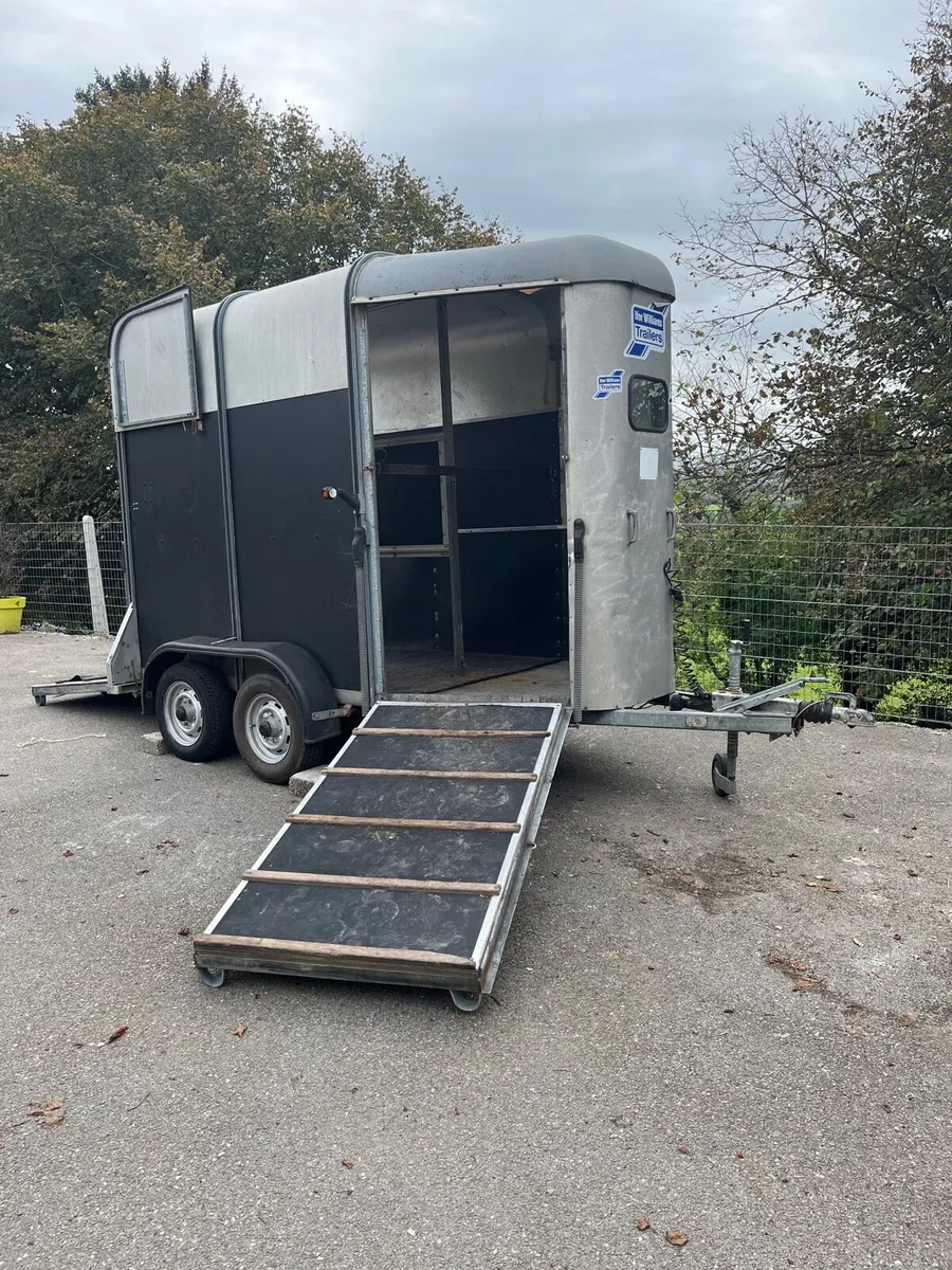 Ifor Williams 505 horse box - Image 1