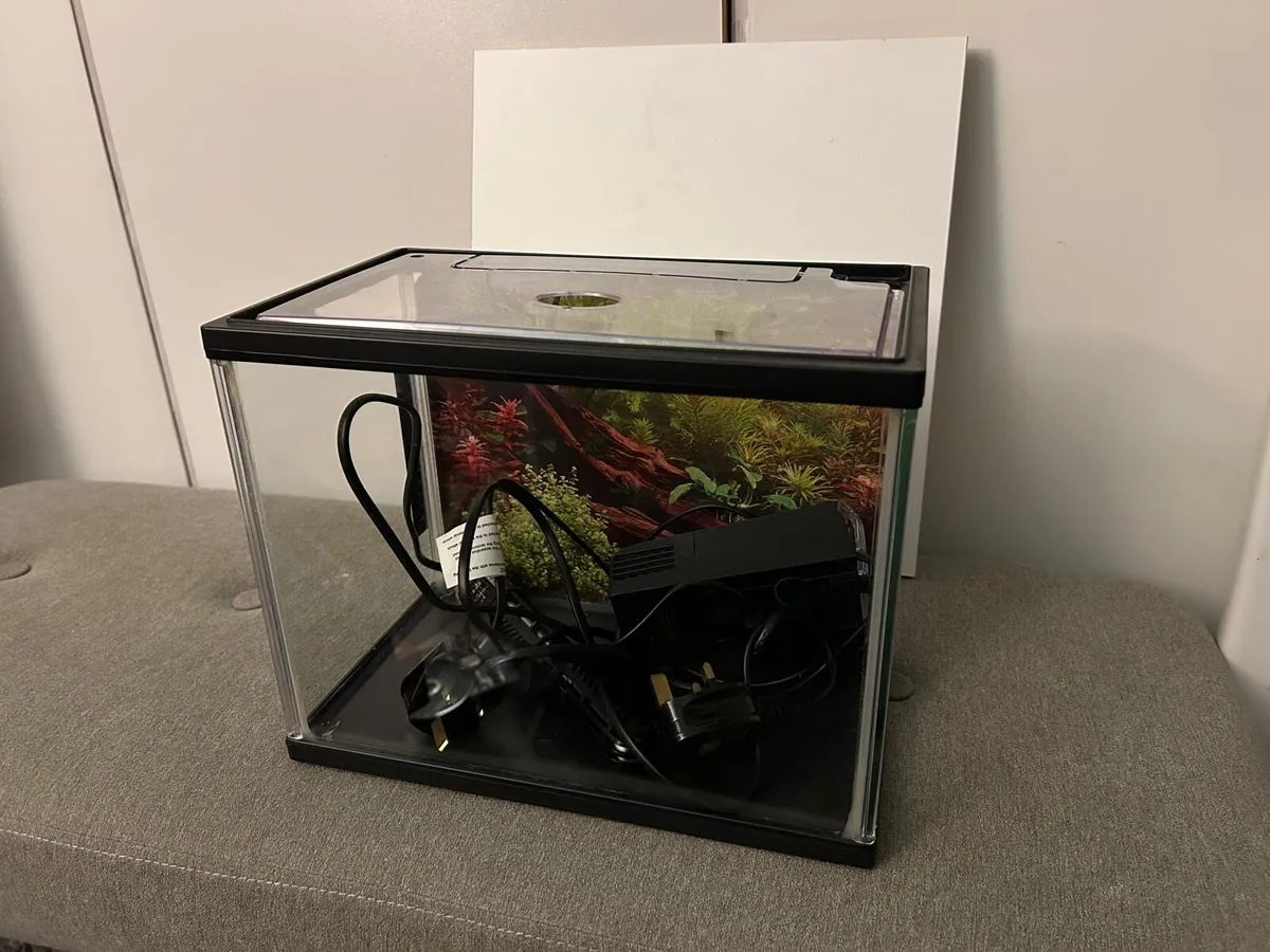 Artwork and fish tank FREE - Image 2