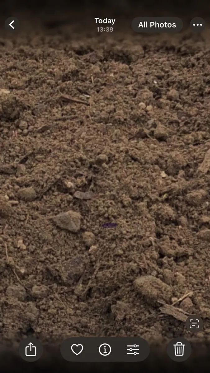 Topsoil Clean Topsoil