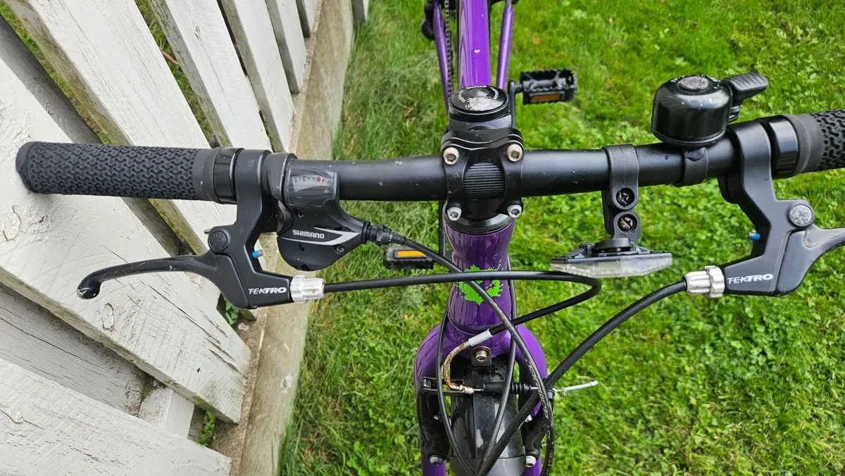 Childs Frog Bike for Sale - Image 2
