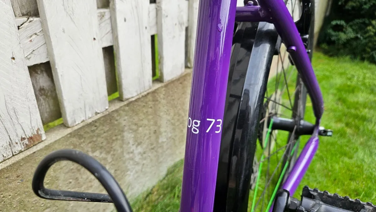 Childs Frog Bike for Sale - Image 3