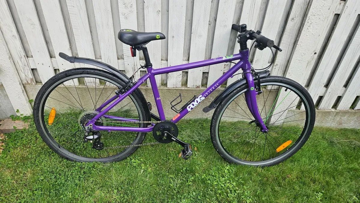 Childs Frog Bike for Sale - Image 1