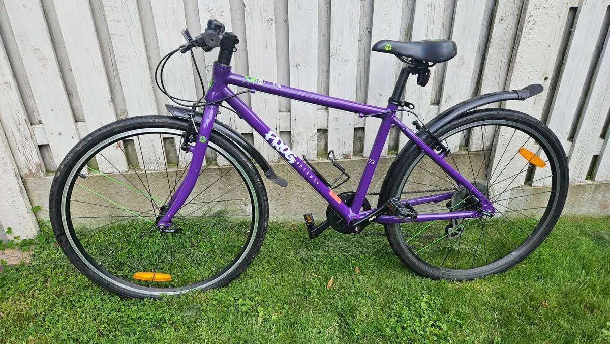 Childs Frog Bike for Sale - Image 4