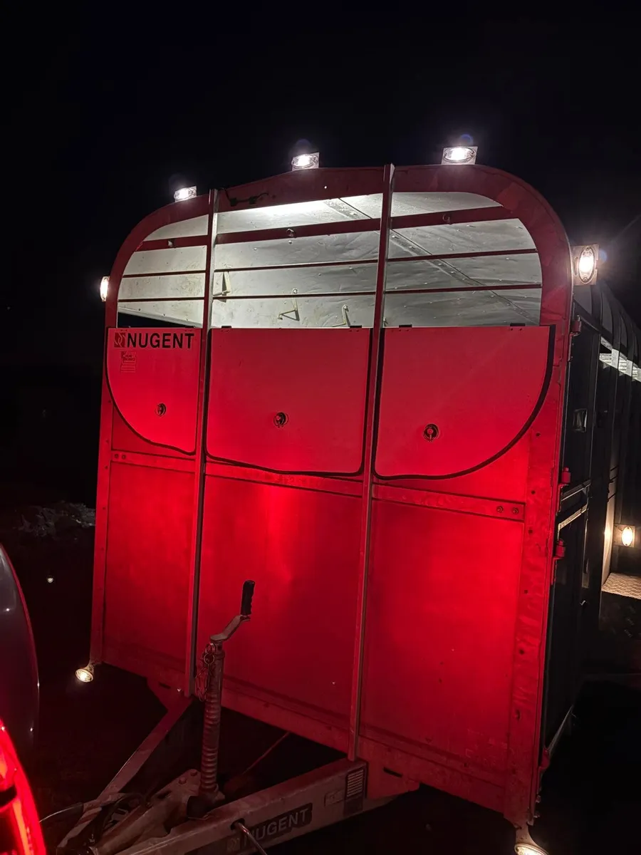 Cattle Trailer - Image 2