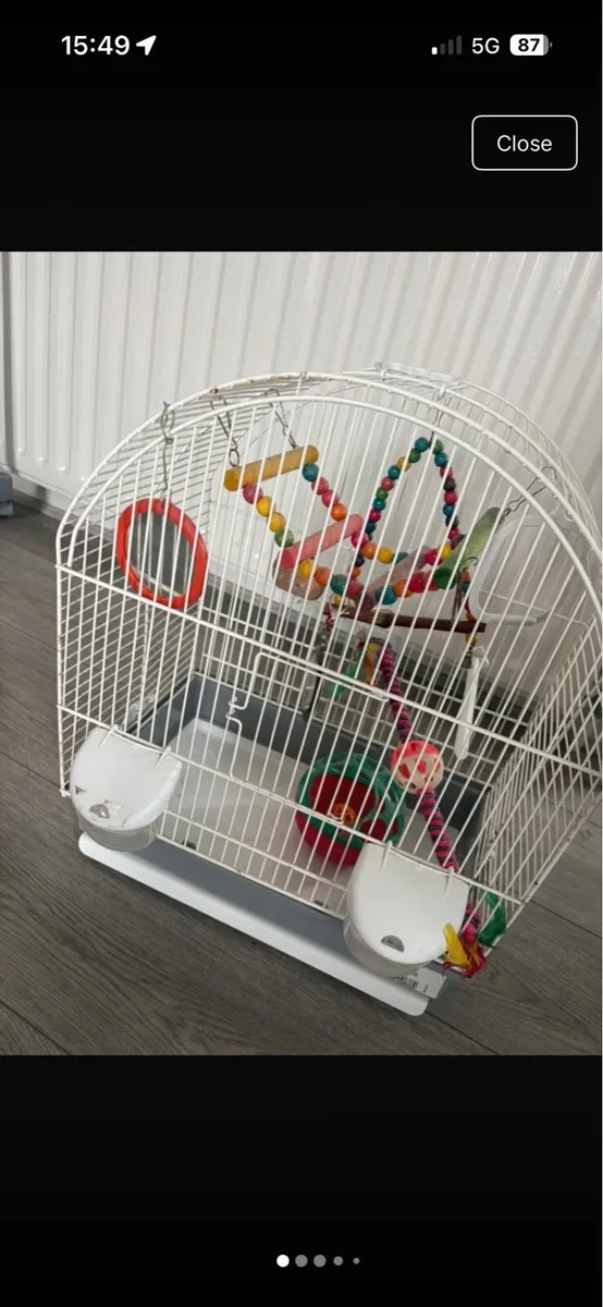 Bird cage - Image 1