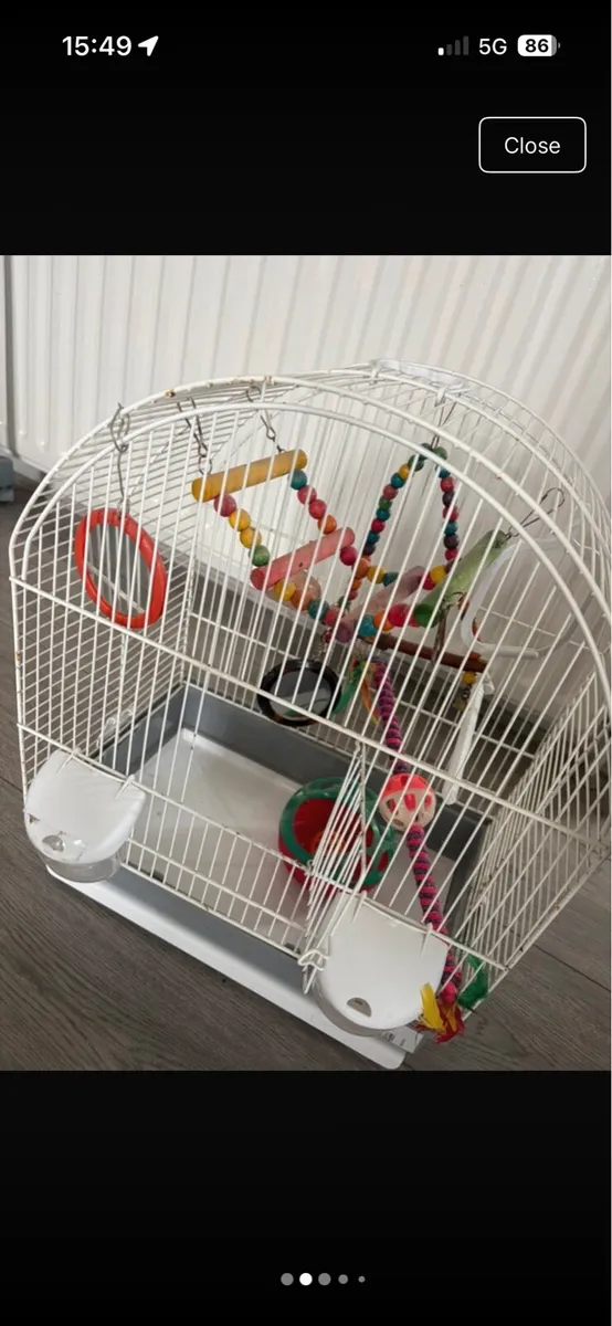 Bird cage - Image 2