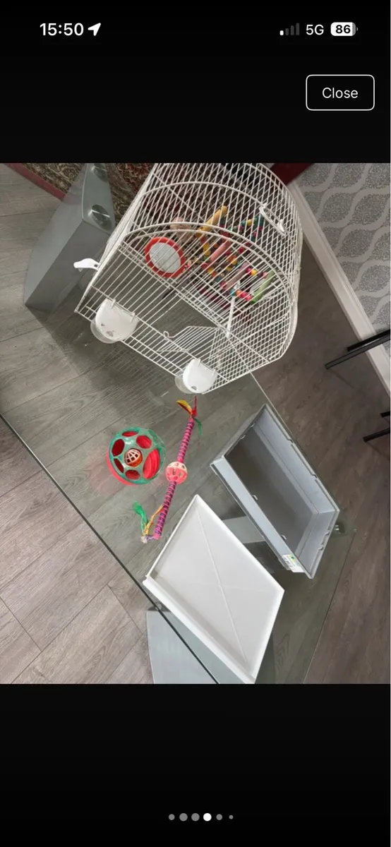 Bird cage - Image 3